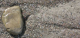 IB 2005