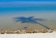 Tahiti - December 2004